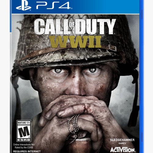 Call Of Duty WWII (PS4)
